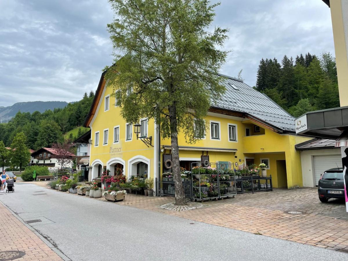 Haus Central Fieberbrunn By Alpine Host Helpers Екстериор снимка